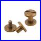2-100-Packs-1-Inch-Brass-Screw-Chicago-Screws-for-Gun-Sling-Buttstock-Cover-01-qbj