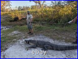 American Wild Alligator Rifle shotgun Shoulder Sling Strap gator leather JU52