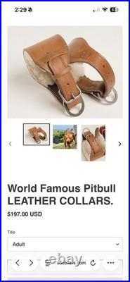 Chico Lopez World Famous Pitbull Leather Collar 100% Full Grain Buffalo